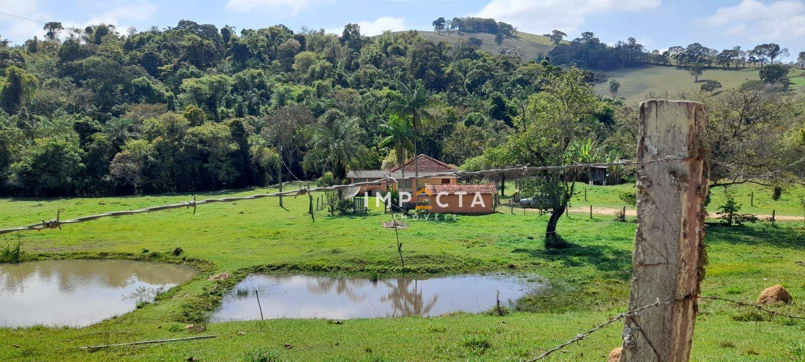 Chácara à venda com 3 quartos, 12000M2 - Foto 5