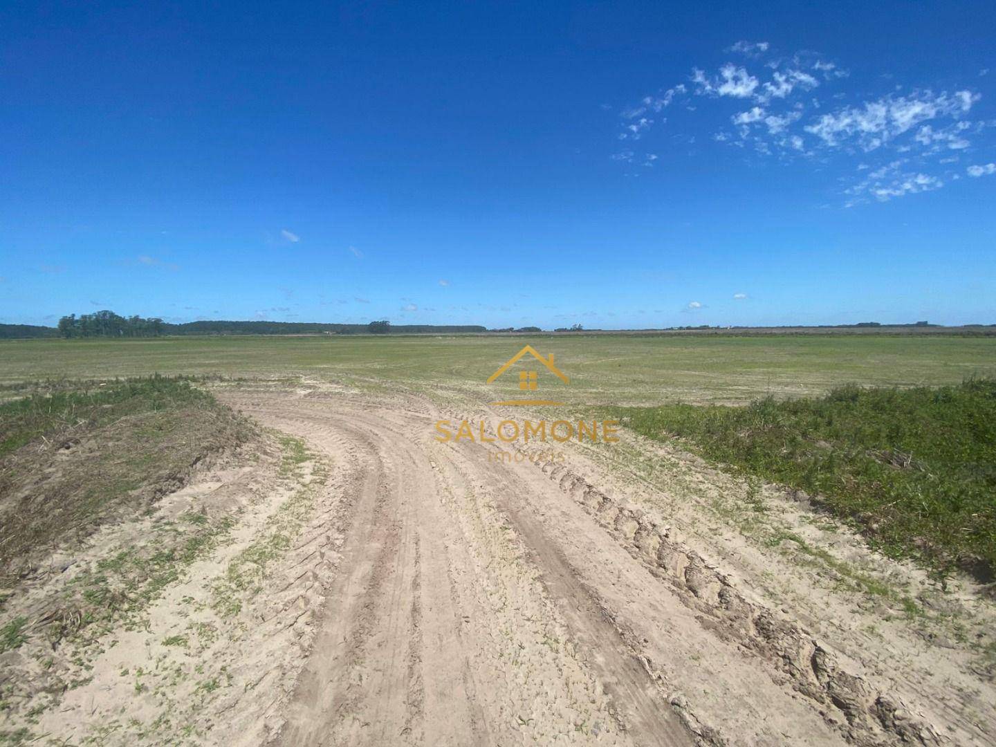 Fazenda, 100 hectares - Foto 2