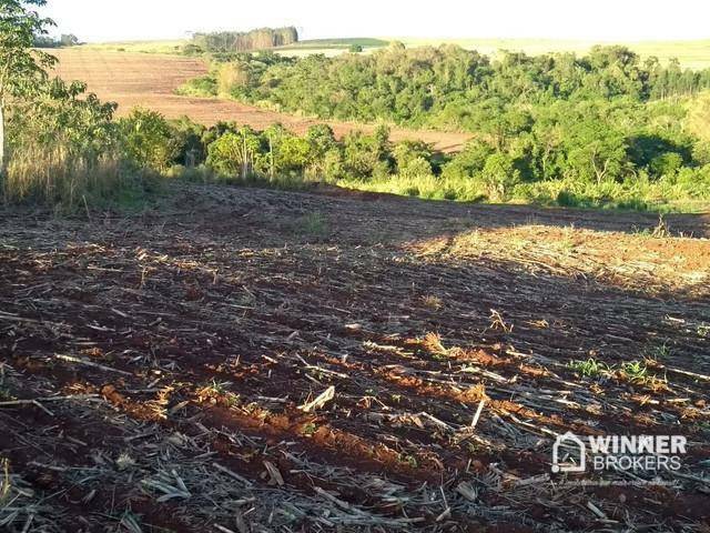 Chácara à venda com 1 quarto, 30500M2 - Foto 6