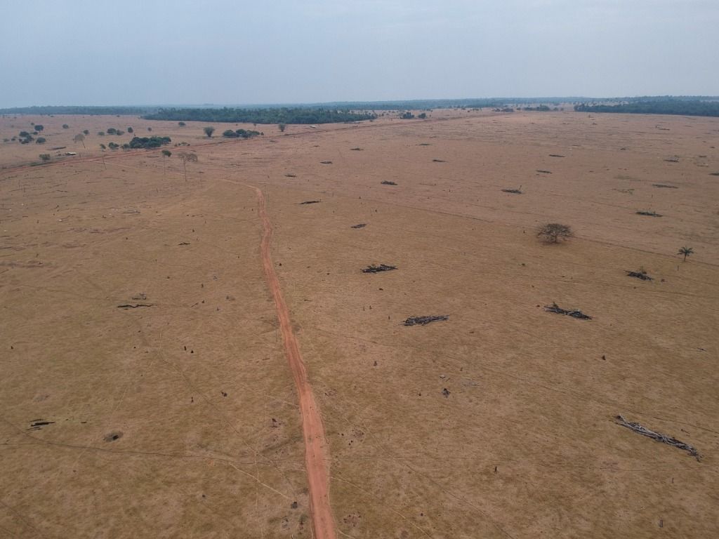 Fazenda à venda, 41140000M2 - Foto 4