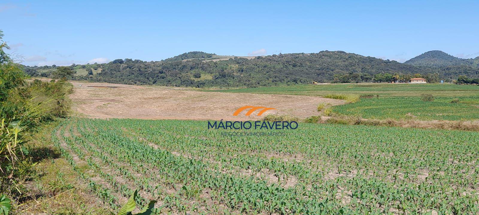 Fazenda, 173 hectares - Foto 4