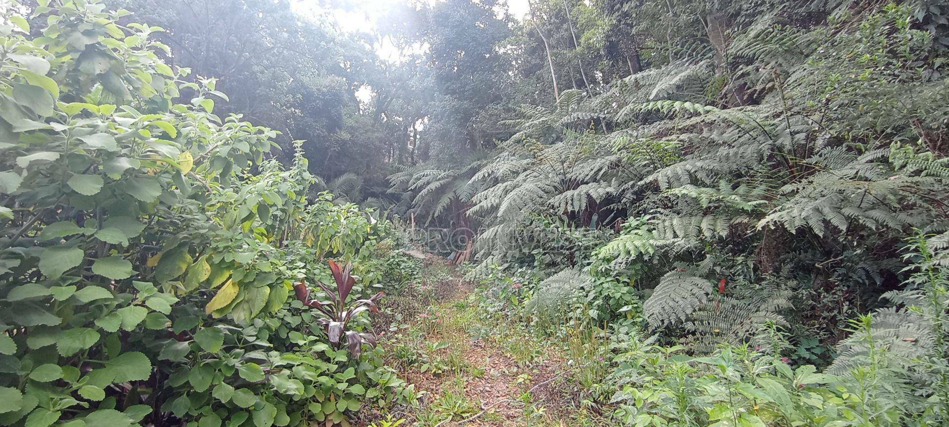 Loteamento e Condomínio à venda, 872M2 - Foto 3