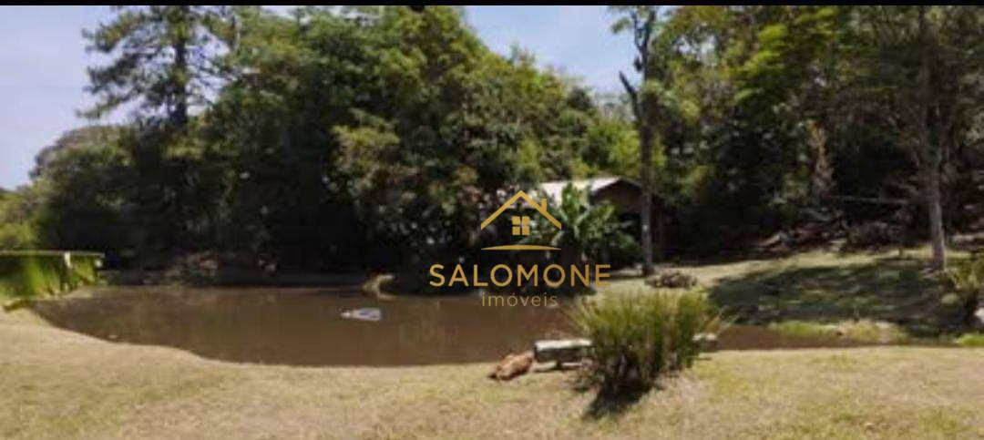 Sítio, 3 quartos, 5000 m² - Foto 5