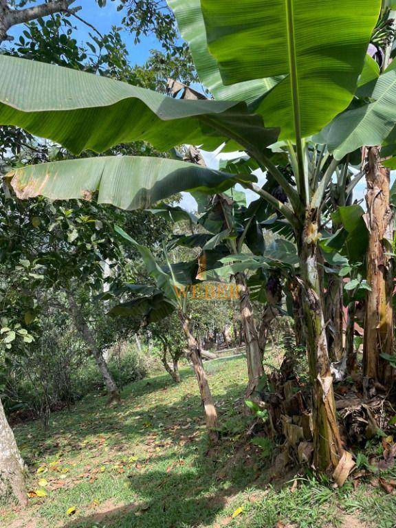 Chácara à venda com 4 quartos, 1600M2 - Foto 18