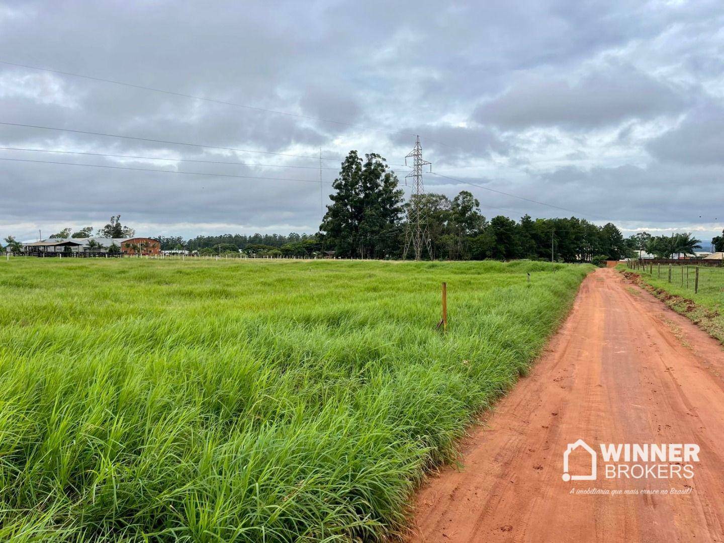 Chácara, 1000 m² - Foto 5