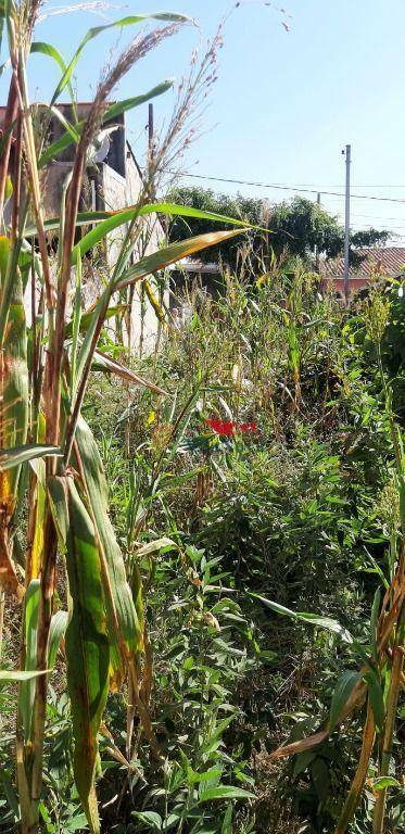 Terreno à venda, 125M2 - Foto 4