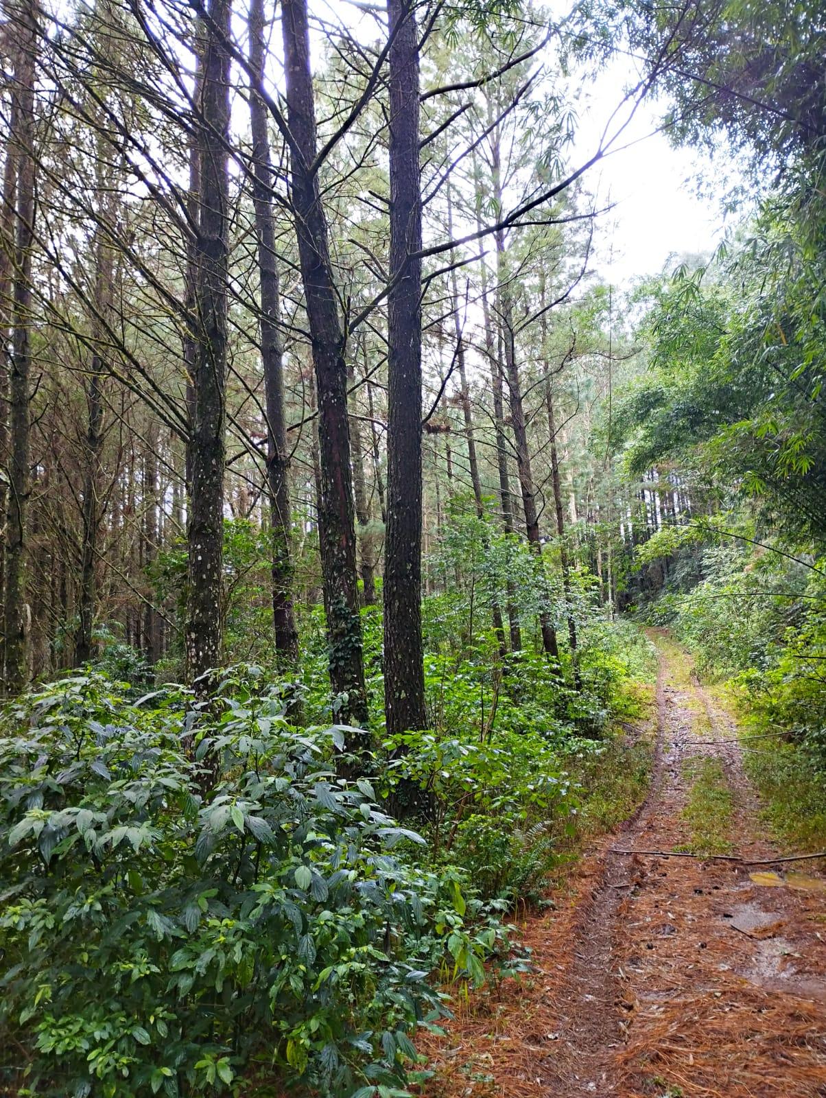 Fazenda à venda, 35m² - Foto 3