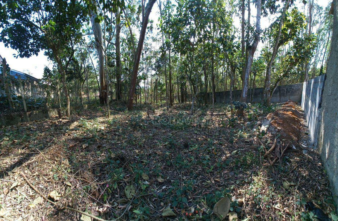 Loteamento e Condomínio à venda, 980M2 - Foto 4