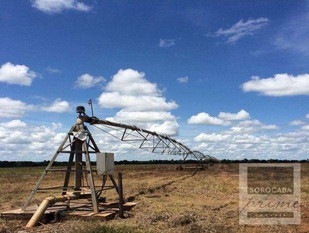 Fazenda-Sítio-Chácara, 78000 hectares - Foto 3