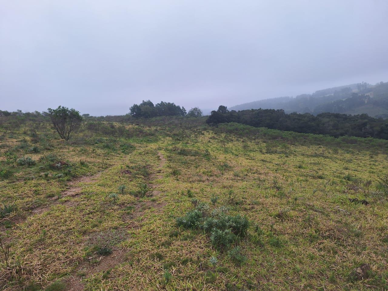 Loteamento e Condomínio à venda, 160000m² - Foto 2