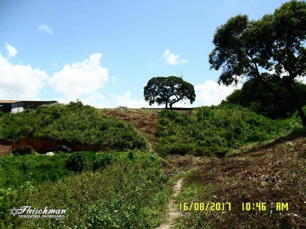 Terreno à venda, 6600M2 - Foto 1