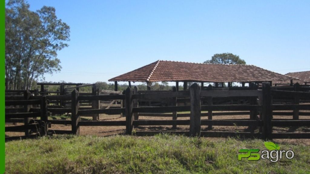 Fazenda à venda, 18029000M2 - Foto 10