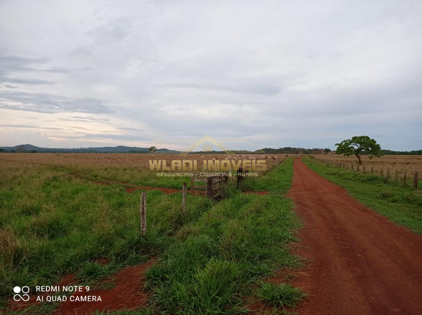 Fazenda à venda, 1435m² - Foto 1