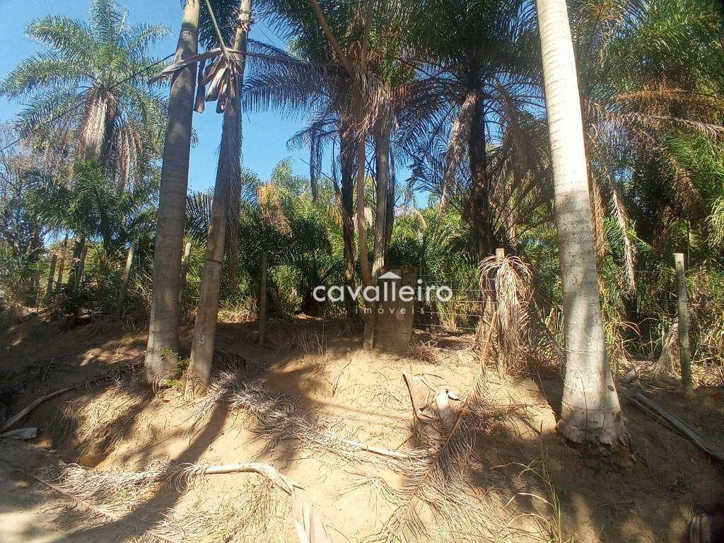 Terreno à venda, 2000M2 - Foto 4