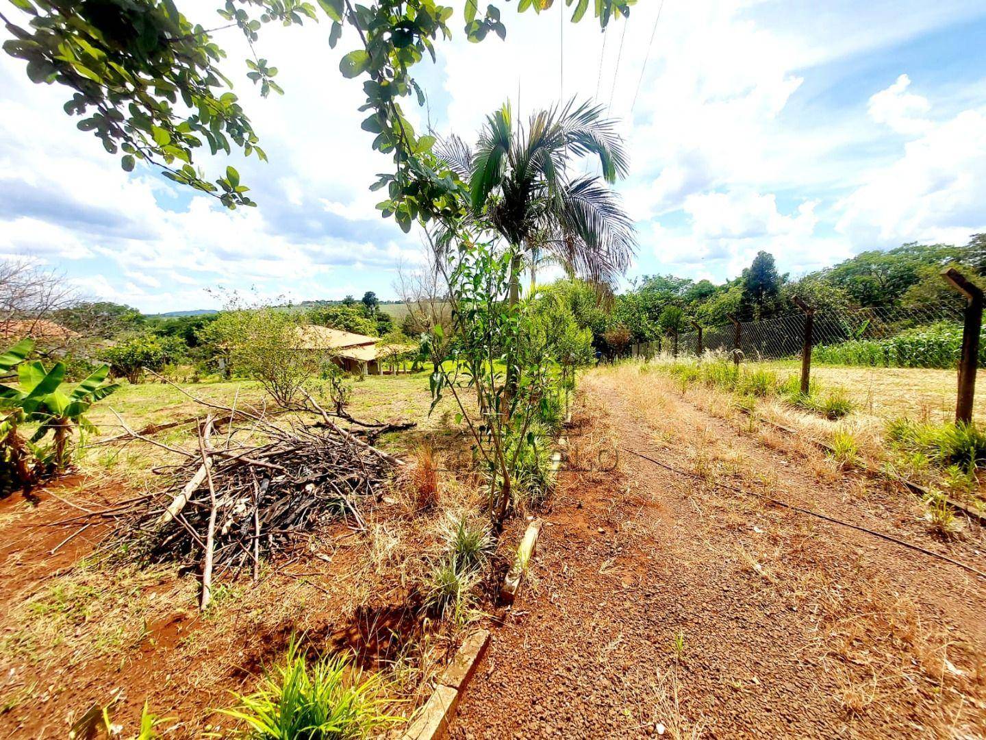 Chácara, 2 quartos, 67 hectares - Foto 5