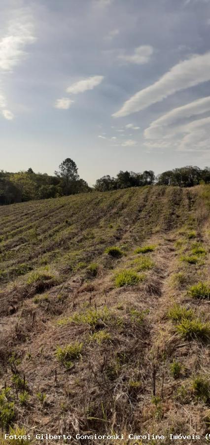 Loteamento e Condomínio à venda, 50000m² - Foto 10