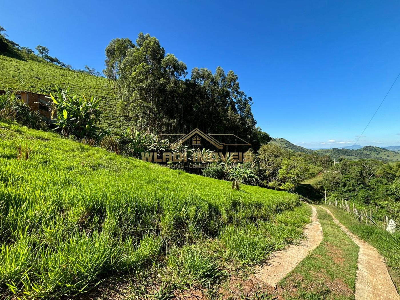 Fazenda à venda, 72000m² - Foto 16