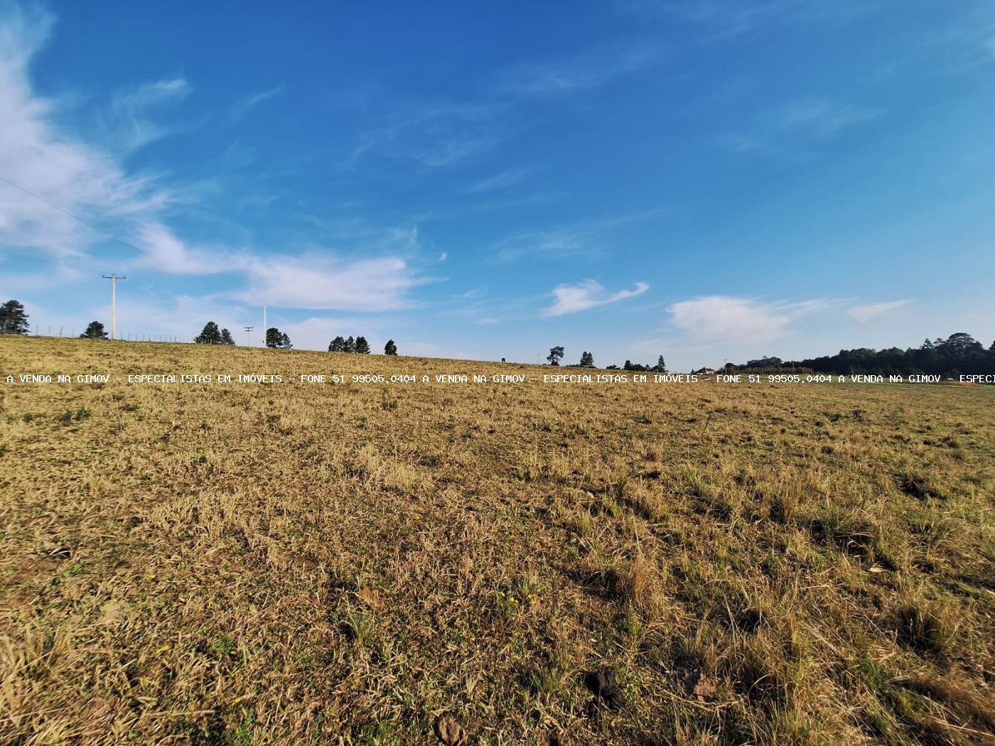 Fazenda à venda com 4 quartos, 80000m² - Foto 36