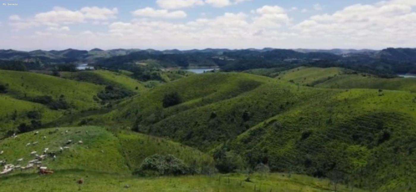 Fazenda à venda com 4 quartos, 2980000m² - Foto 2