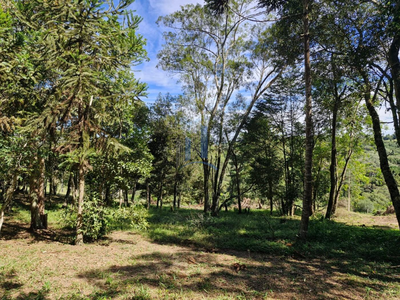 Terreno à venda, 1000m² - Foto 7
