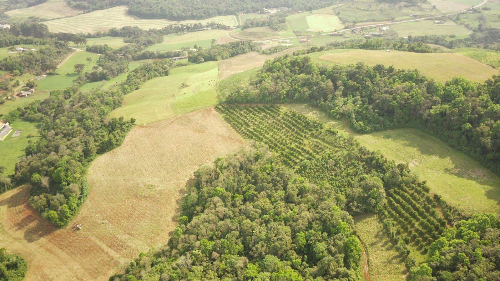 Loteamento e Condomínio à venda, 242000m² - Foto 8