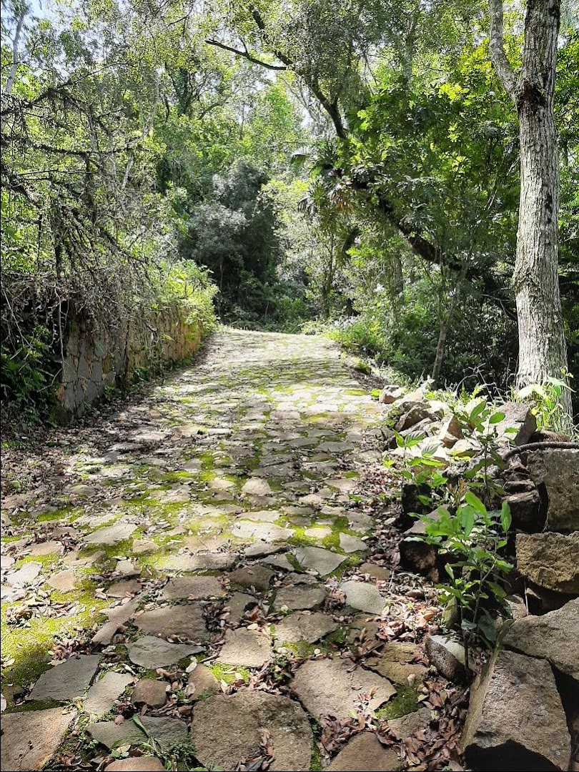 Terreno à venda, 20000M2 - Foto 14