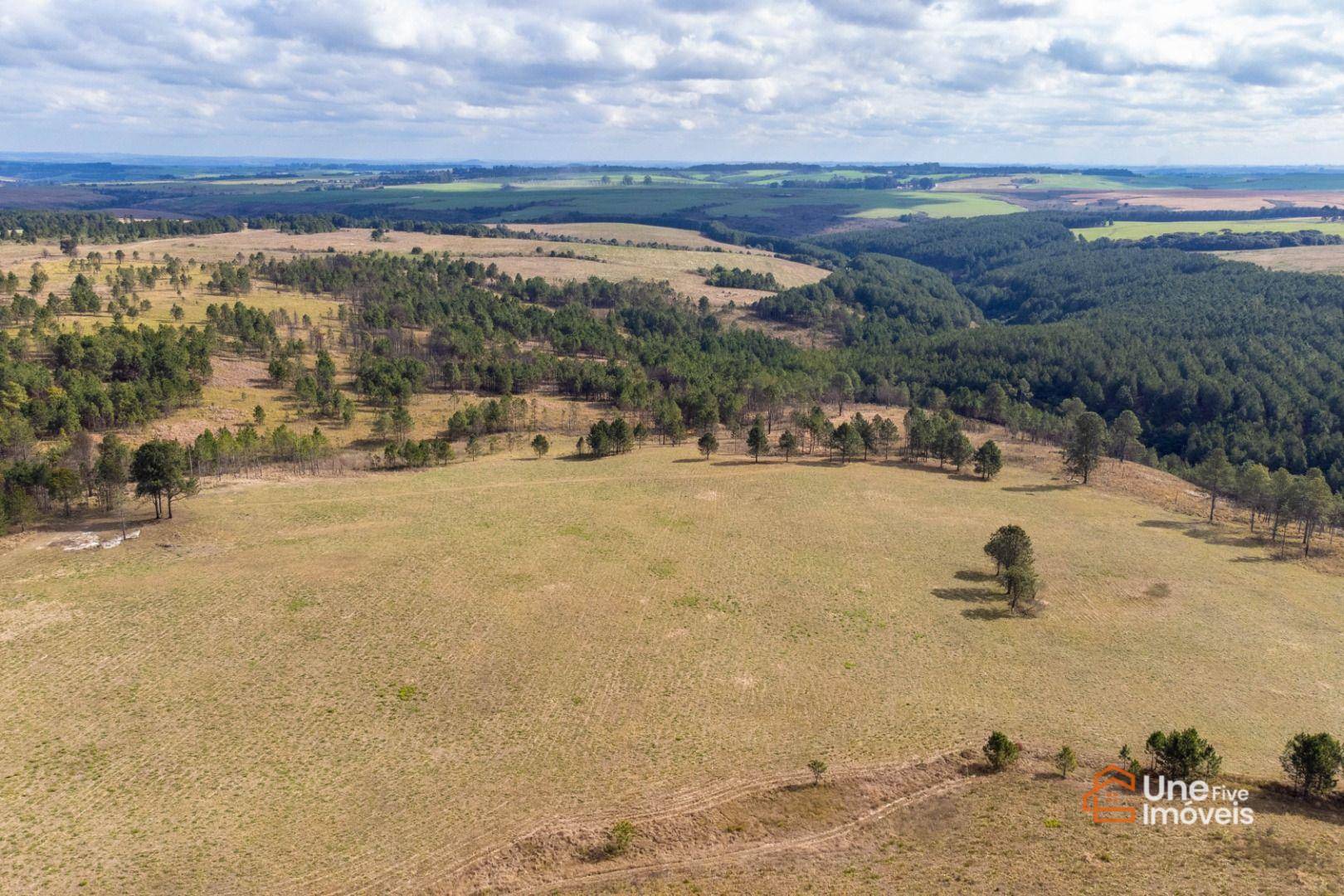 Terreno, 73 hectares - Foto 2