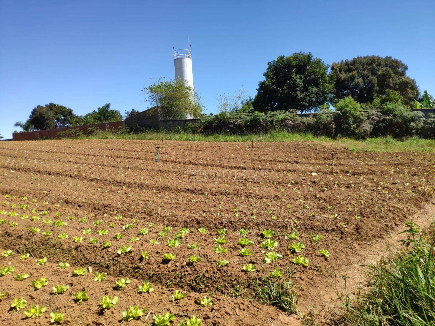 Terreno à venda, 45737M2 - Foto 12