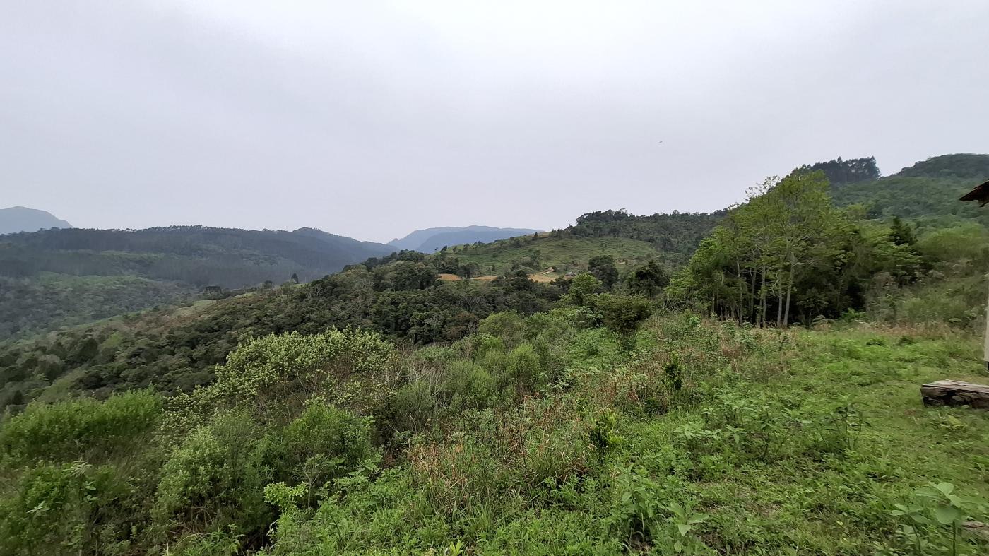 Fazenda à venda, 40000m² - Foto 6