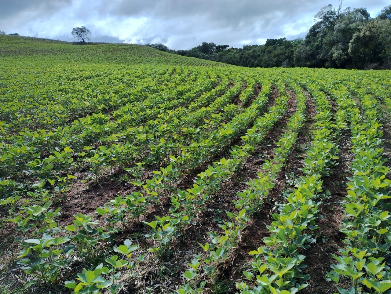 Fazenda-Sítio-Chácara, 677 m² - Foto 2