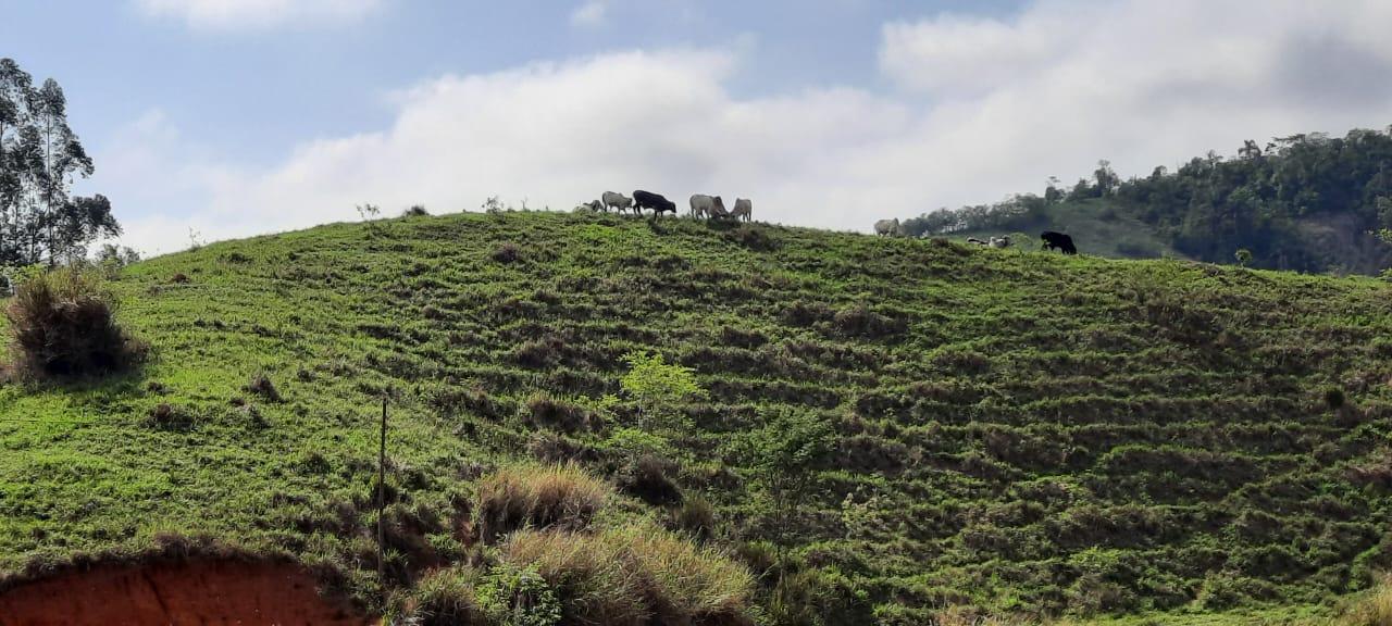 Fazenda à venda, 694m² - Foto 15