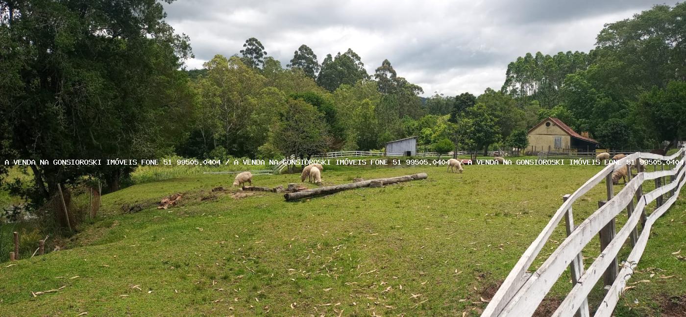 Fazenda à venda com 4 quartos, 130000m² - Foto 32