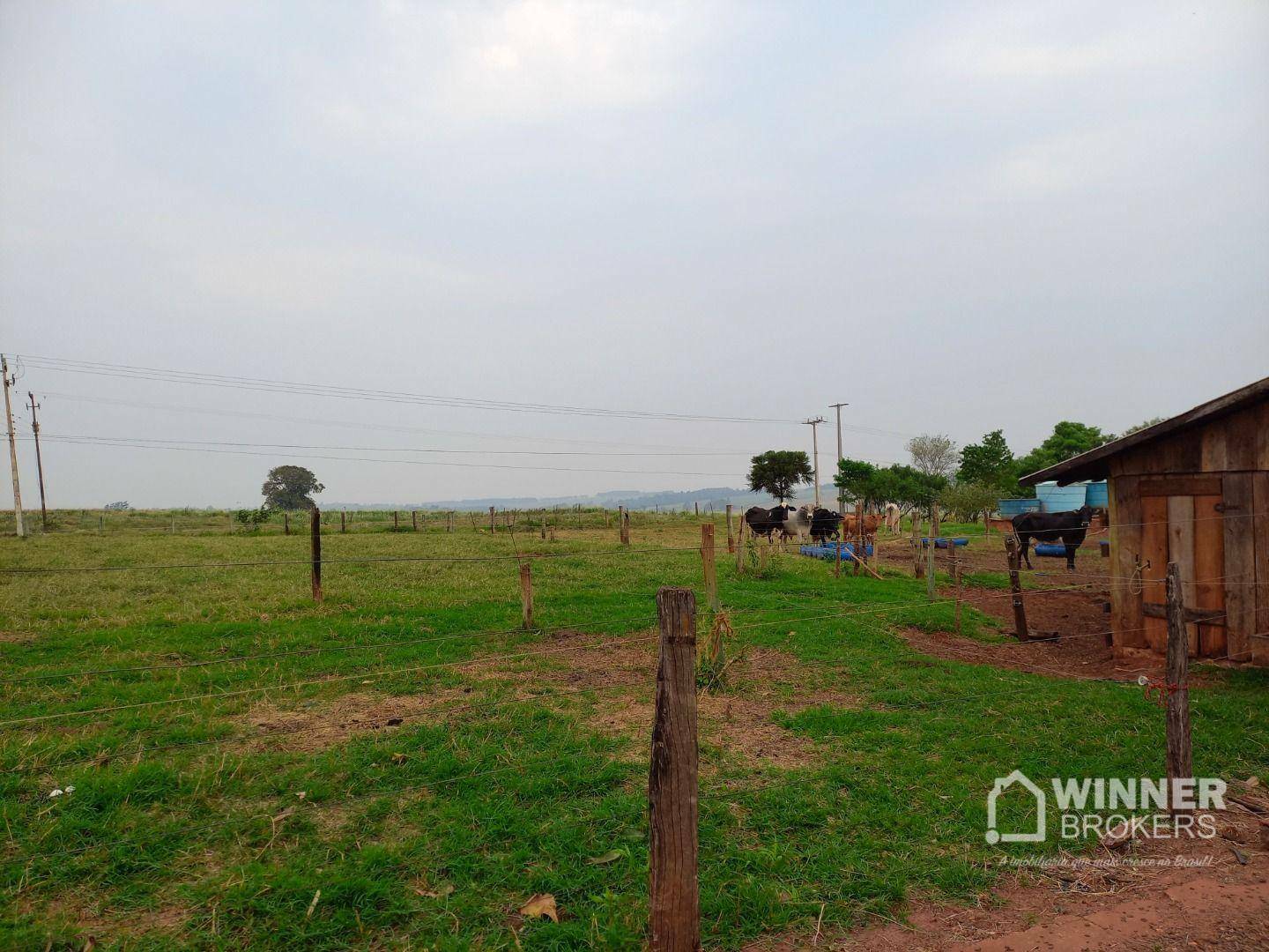 Chácara à venda com 3 quartos, 24200M2 - Foto 20