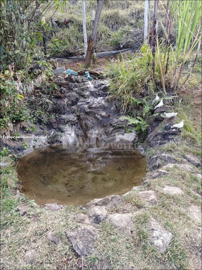 Fazenda à venda com 6 quartos, 53000m² - Foto 19