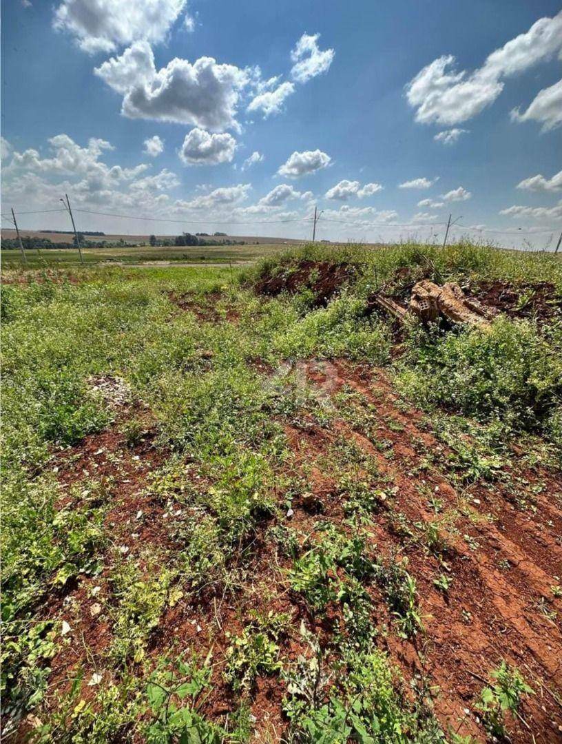 Terreno à venda, 375M2 - Foto 5