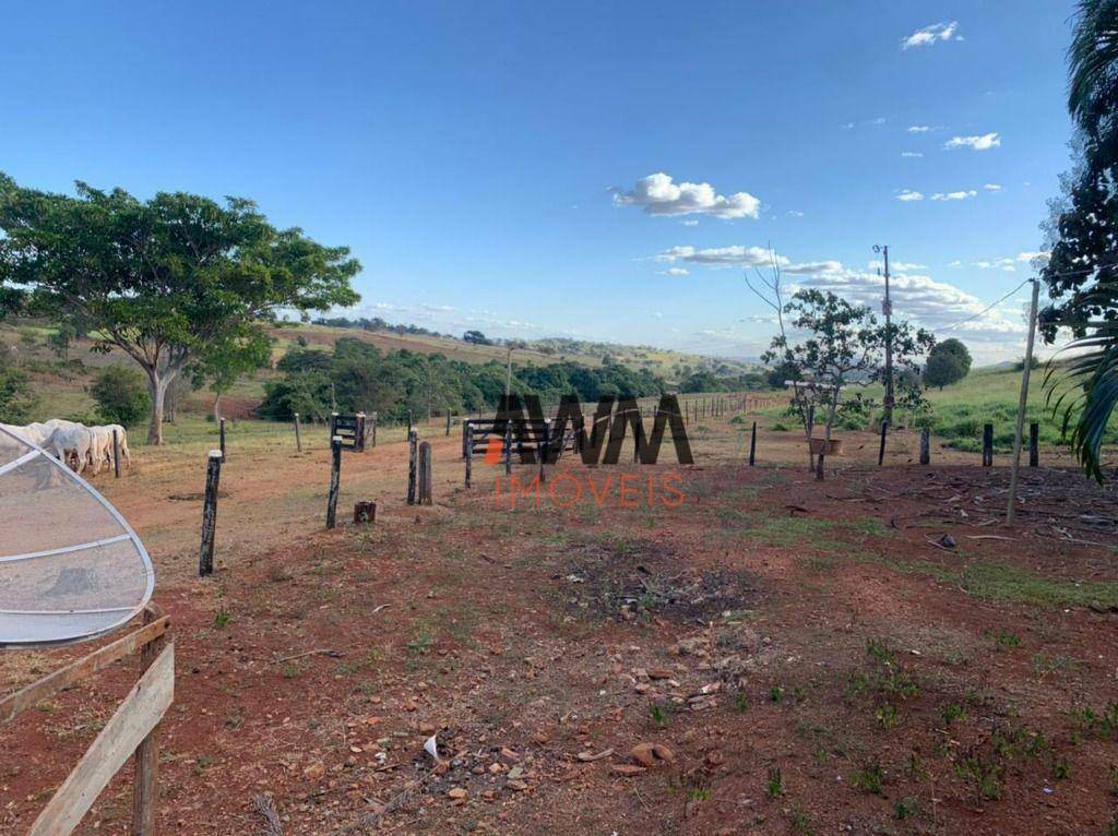 Fazenda à venda, 12100000M2 - Foto 39