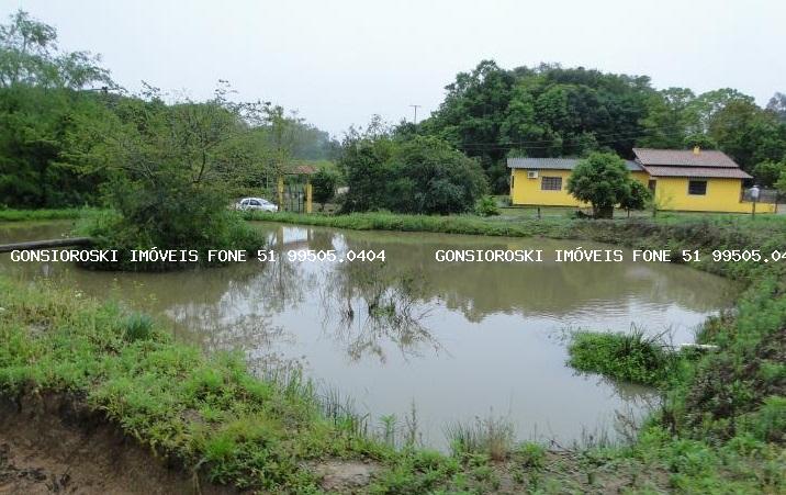 Fazenda à venda com 3 quartos, 140000m² - Foto 5