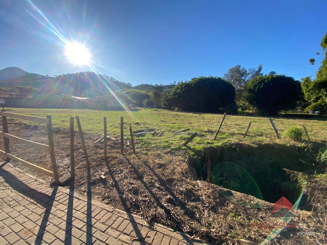 Chácara à venda com 3 quartos, 5000m² - Foto 3