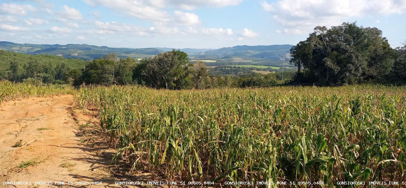 Loteamento e Condomínio à venda com 4 quartos, 370000m² - Foto 21