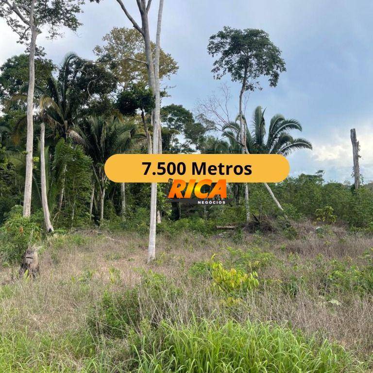 Chácara, 1 quarto, 7500 m² - Foto 1