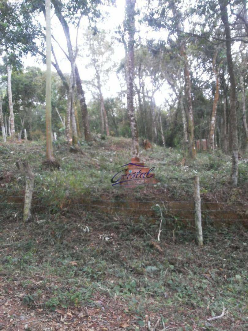 Terreno à venda, 1600M2 - Foto 38