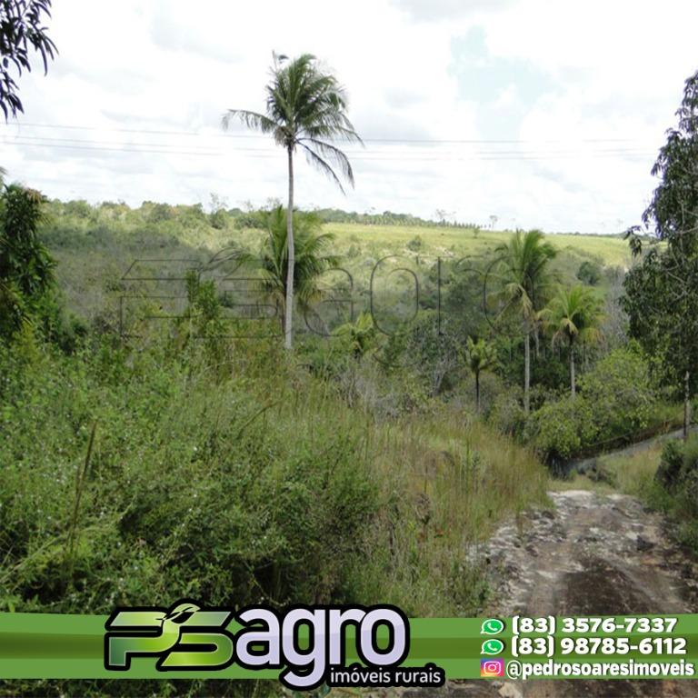 Fazenda-Sítio-Chácara, 80 hectares - Foto 4