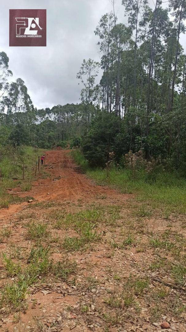 Fazenda à venda com 4 quartos, 1452000M2 - Foto 36