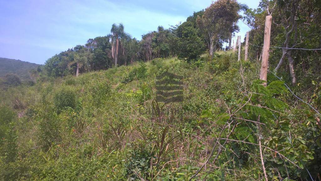 Terreno à venda, 1542M2 - Foto 19