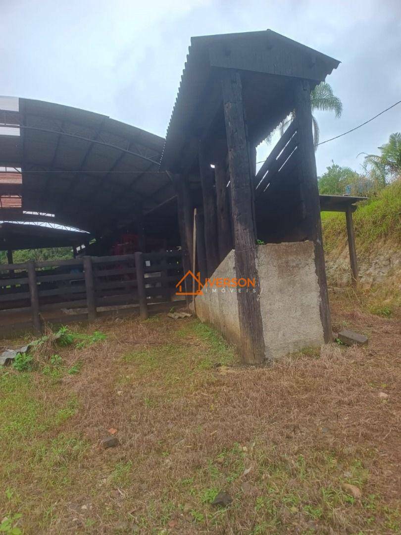 Fazenda à venda com 2 quartos, 250m² - Foto 4