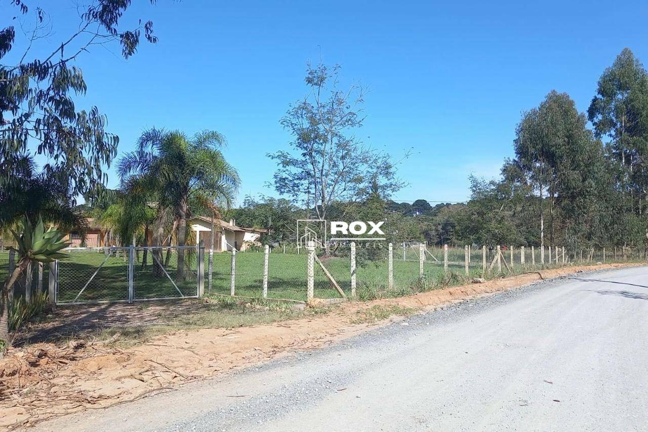 Chácara, 4 quartos, 2 hectares - Foto 16