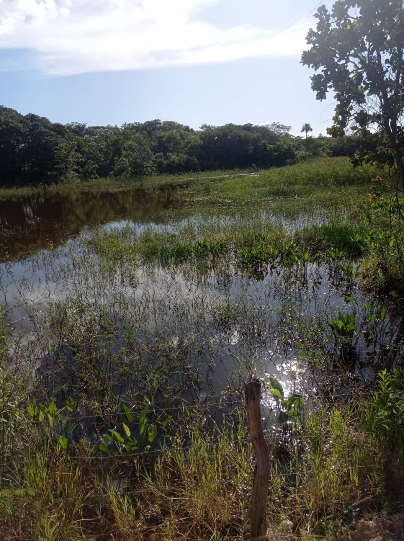 Fazenda à venda, 250m² - Foto 1