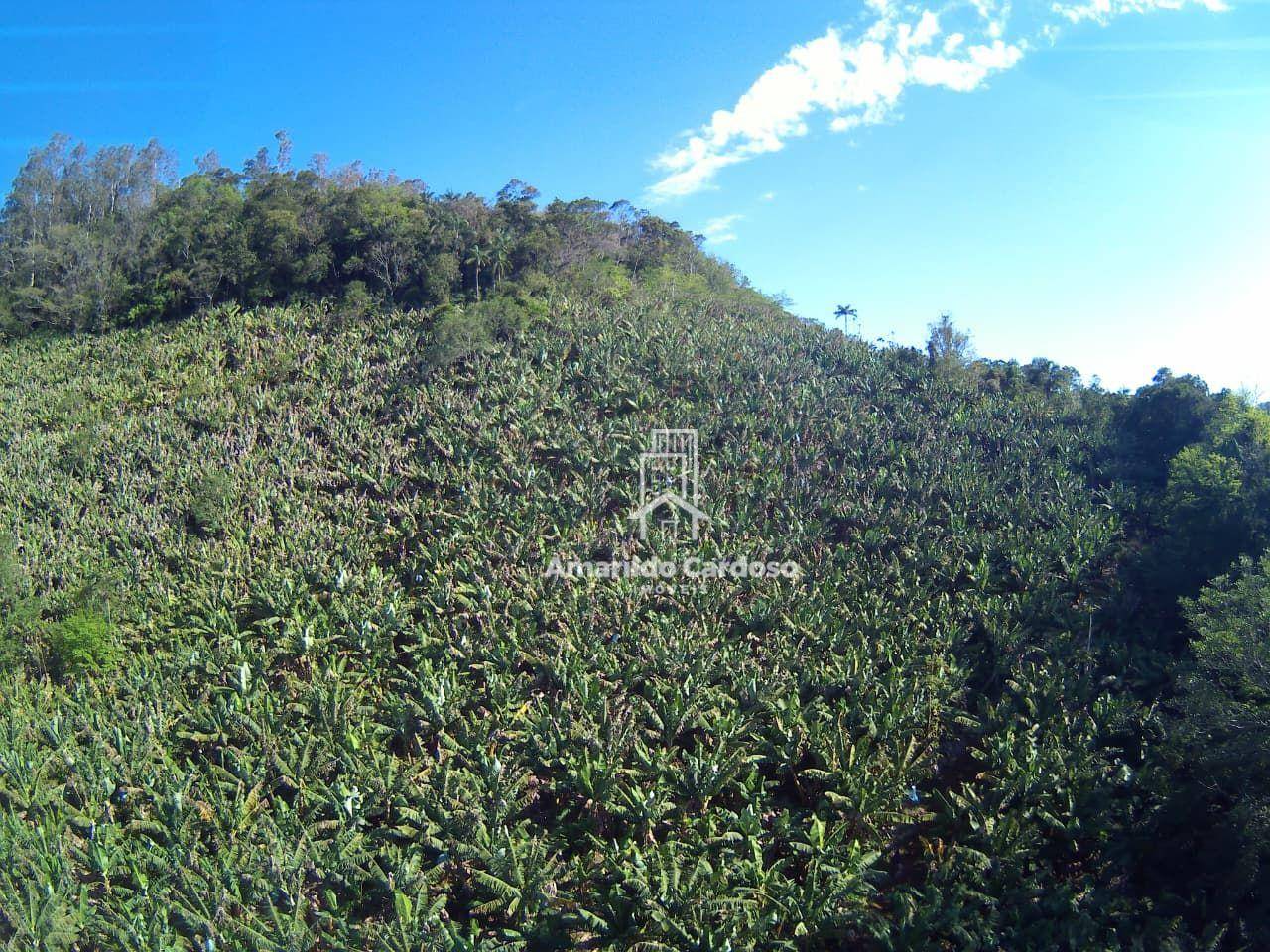 Terreno, 13 hectares - Foto 8