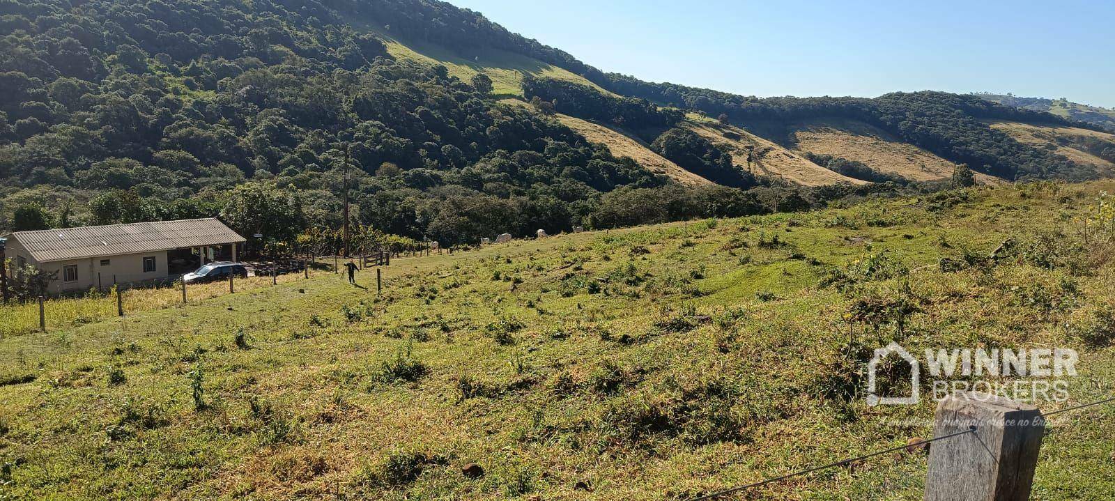 Sítio à venda com 4 quartos, 344850M2 - Foto 1