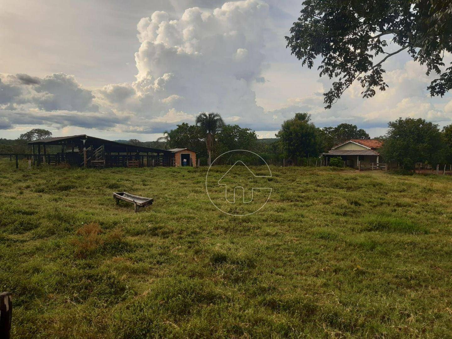 Fazenda à venda, 726000M2 - Foto 11